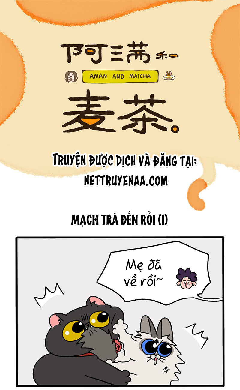 A Mãn Và Mạch Trà: Chapter 35