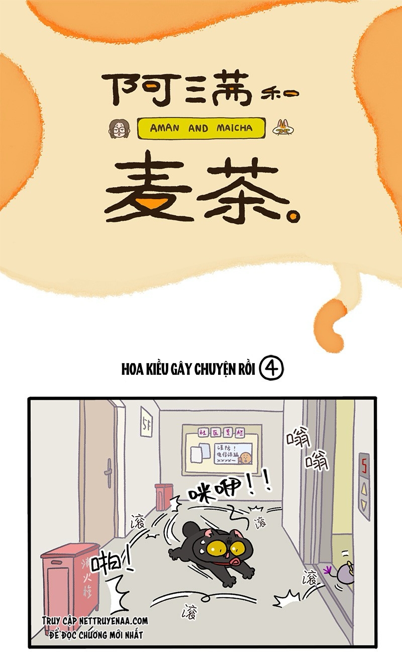 A Mãn Và Mạch Trà: Chapter 36.1