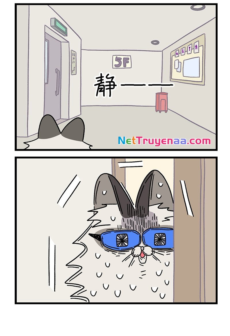 A Mãn Và Mạch Trà: Chapter 36.1