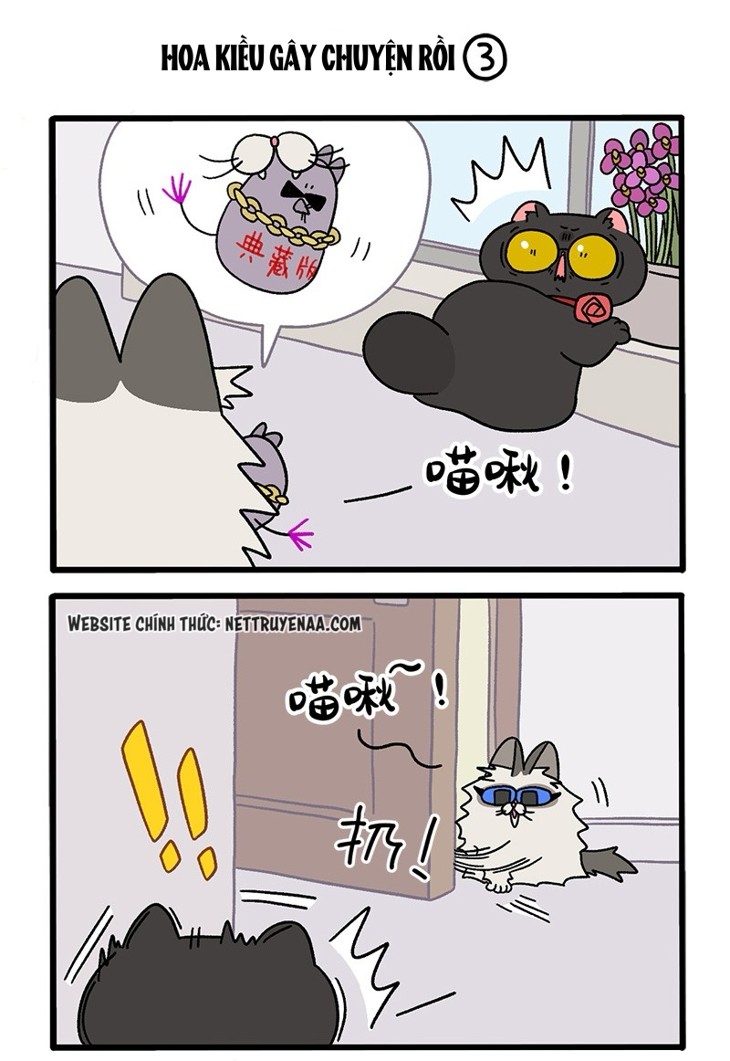 A Mãn Và Mạch Trà: Chapter 36