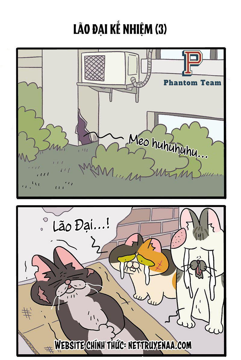 A Mãn Và Mạch Trà: Chapter 37