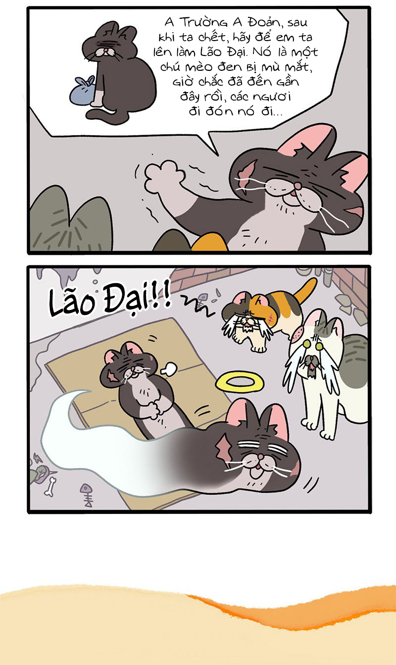 A Mãn Và Mạch Trà: Chapter 37