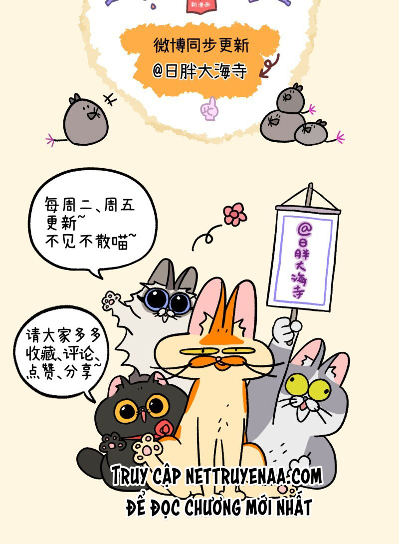 A Mãn Và Mạch Trà: Chapter 37