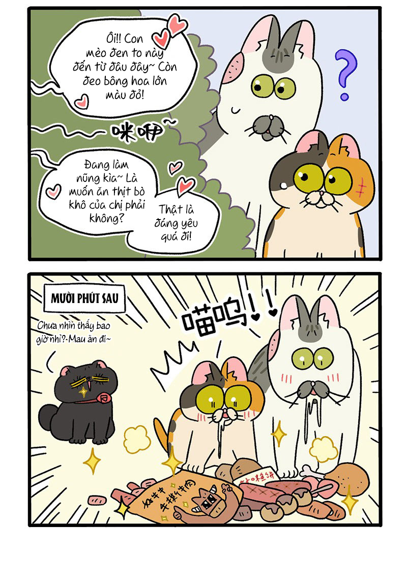 A Mãn Và Mạch Trà: Chapter 38.1