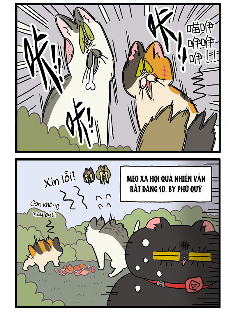 A Mãn Và Mạch Trà: Chapter 38.1