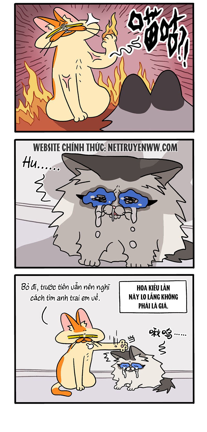 A Mãn Và Mạch Trà: Chapter 39.1