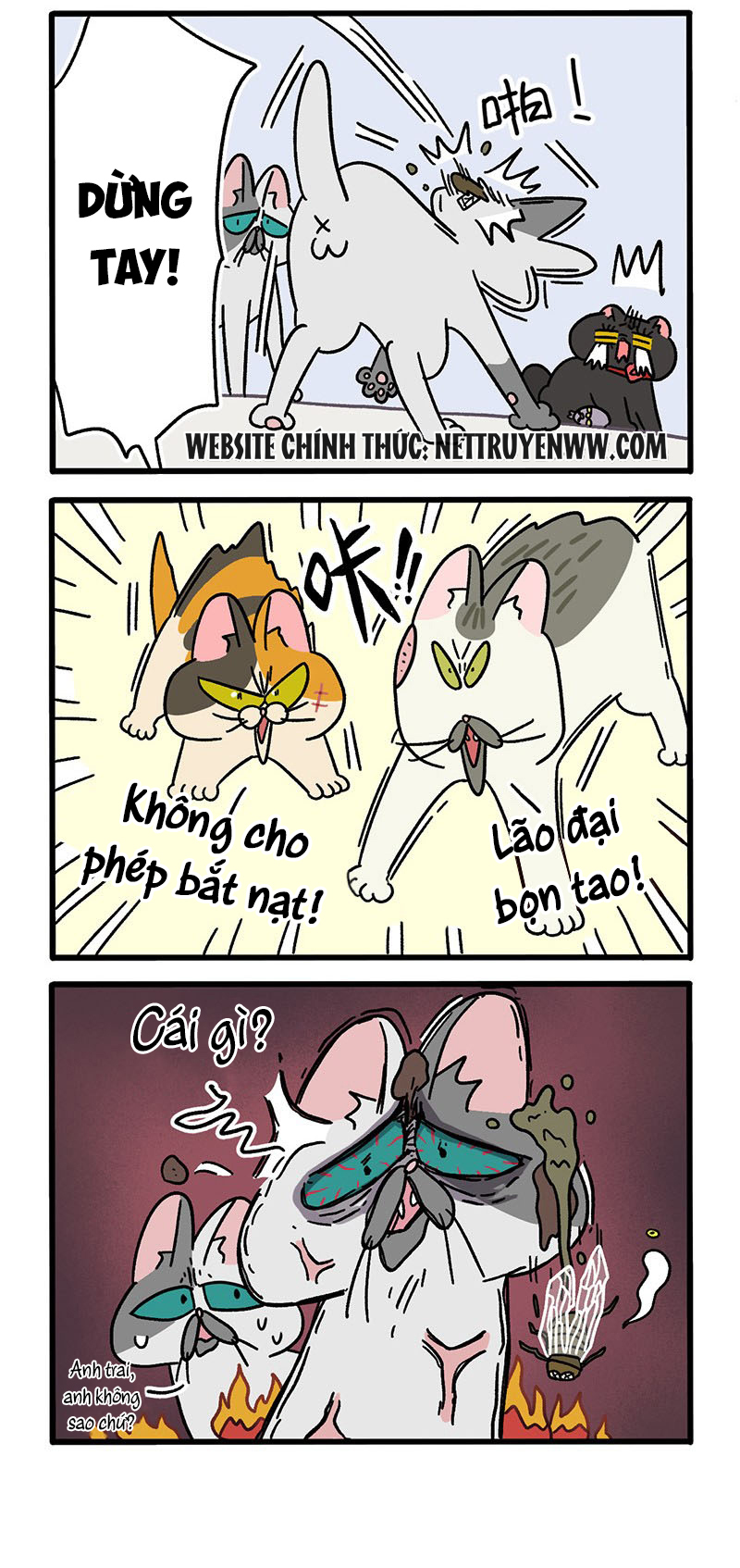 A Mãn Và Mạch Trà: Chapter 40.1