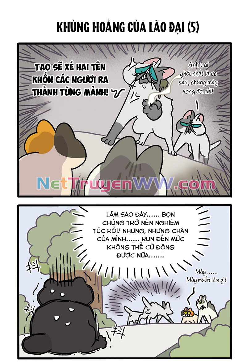 A Mãn Và Mạch Trà: Chapter 40.1
