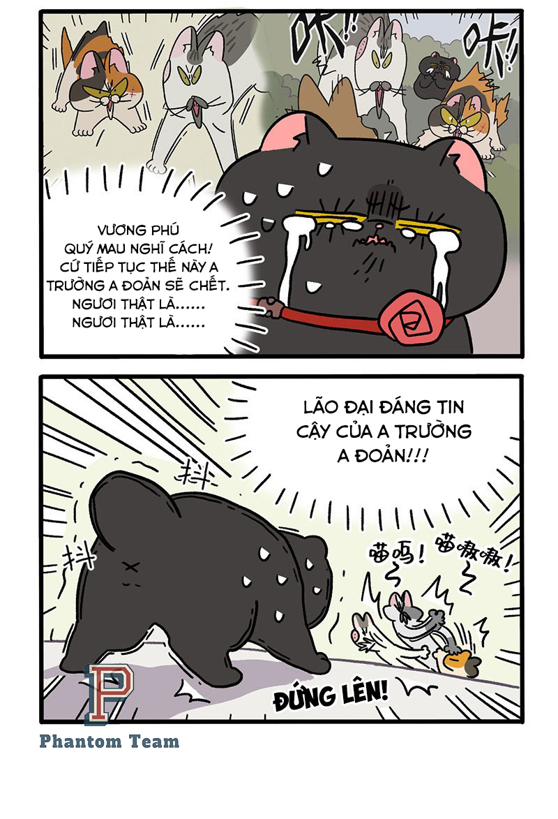 A Mãn Và Mạch Trà: Chapter 40.1