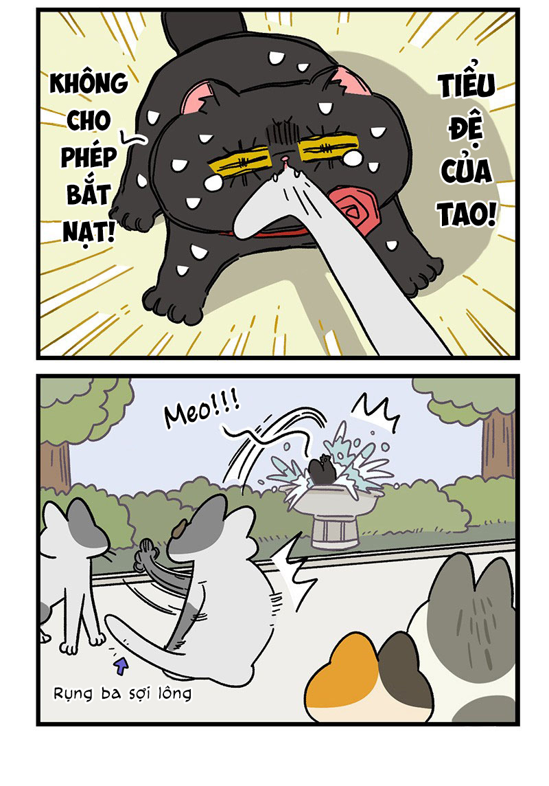 A Mãn Và Mạch Trà: Chapter 40.1