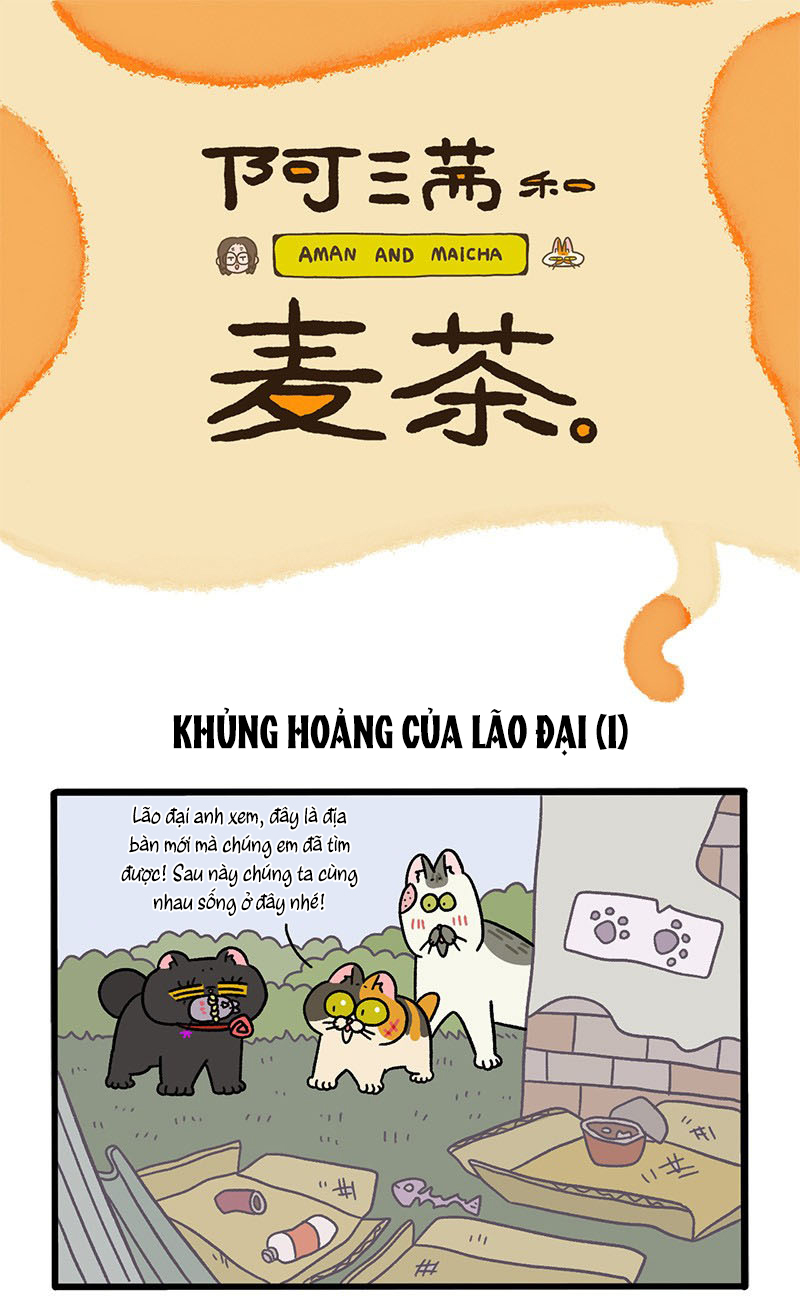 A Mãn Và Mạch Trà: Chapter 40