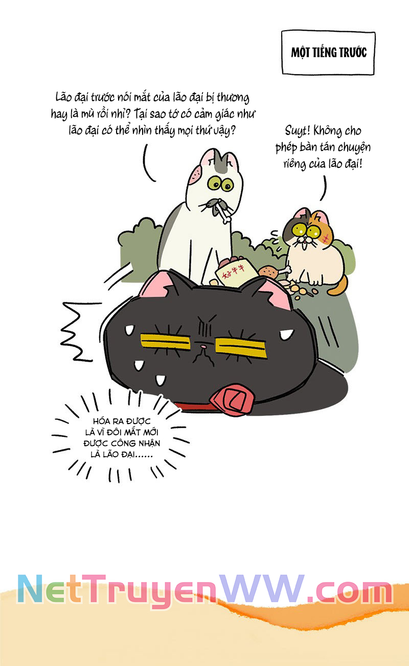 A Mãn Và Mạch Trà: Chapter 41