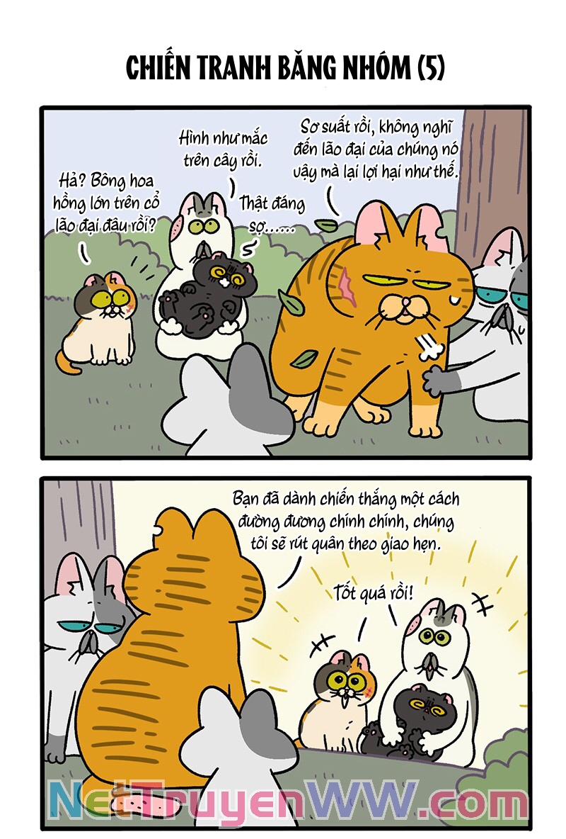 A Mãn Và Mạch Trà: Chapter 43.1