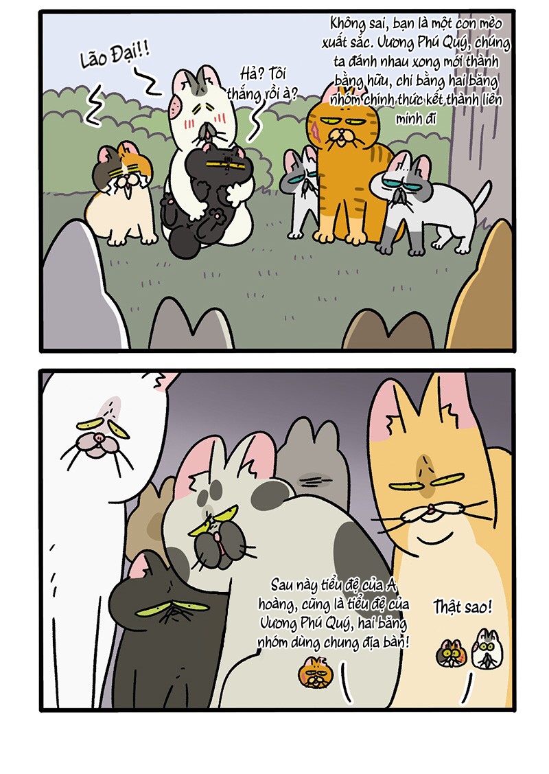A Mãn Và Mạch Trà: Chapter 43.1