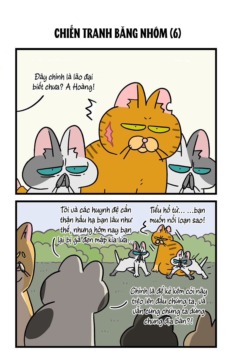 A Mãn Và Mạch Trà: Chapter 43.1