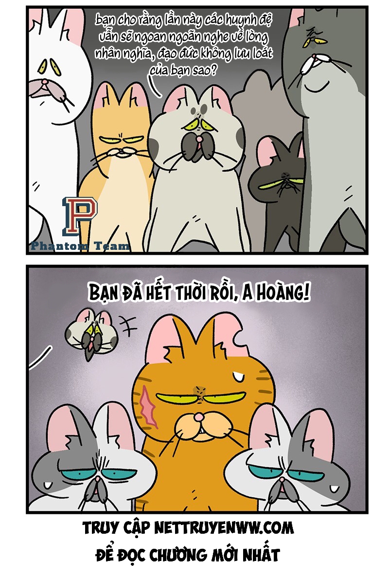 A Mãn Và Mạch Trà: Chapter 43.1