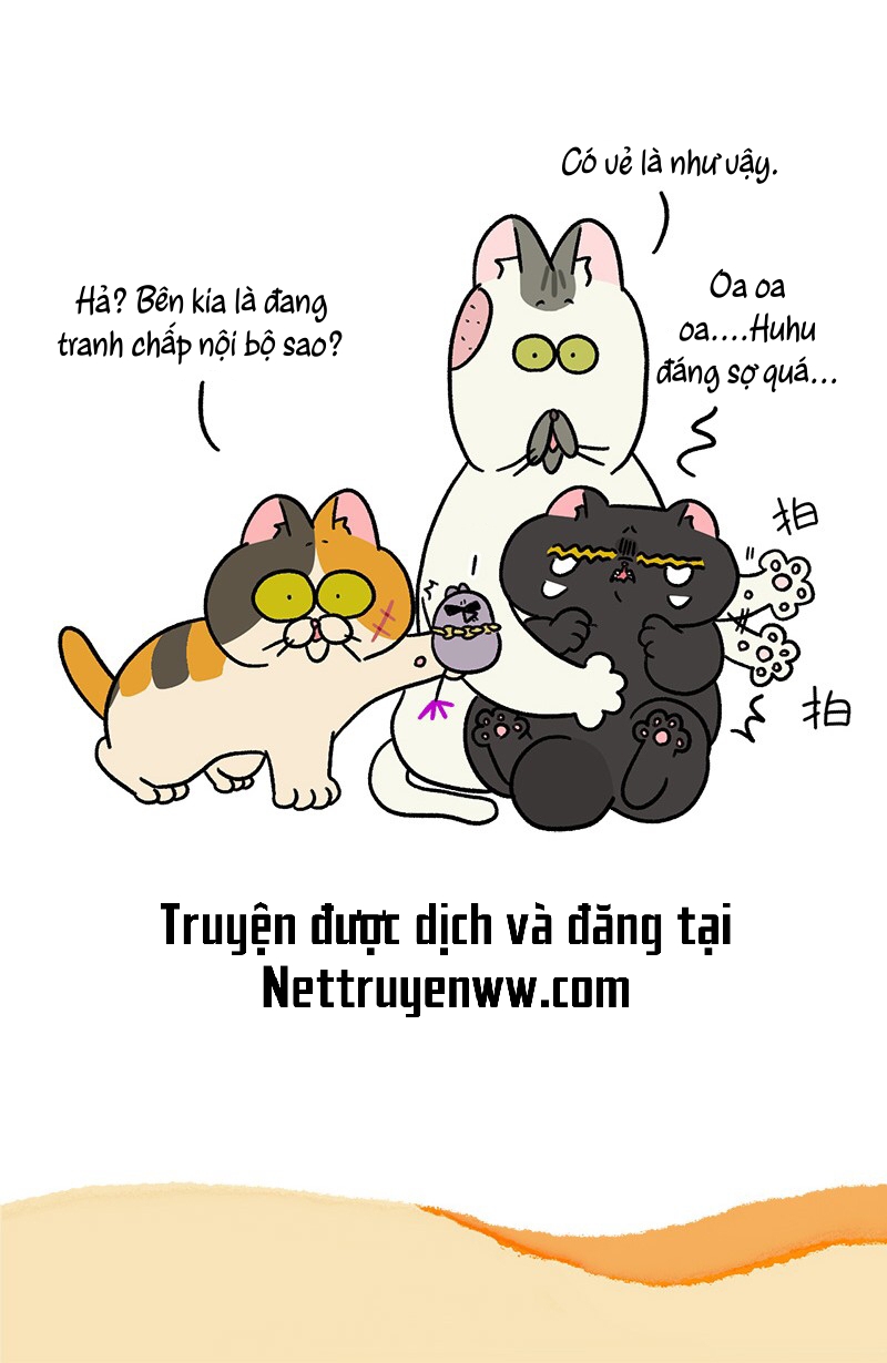 A Mãn Và Mạch Trà: Chapter 43.1