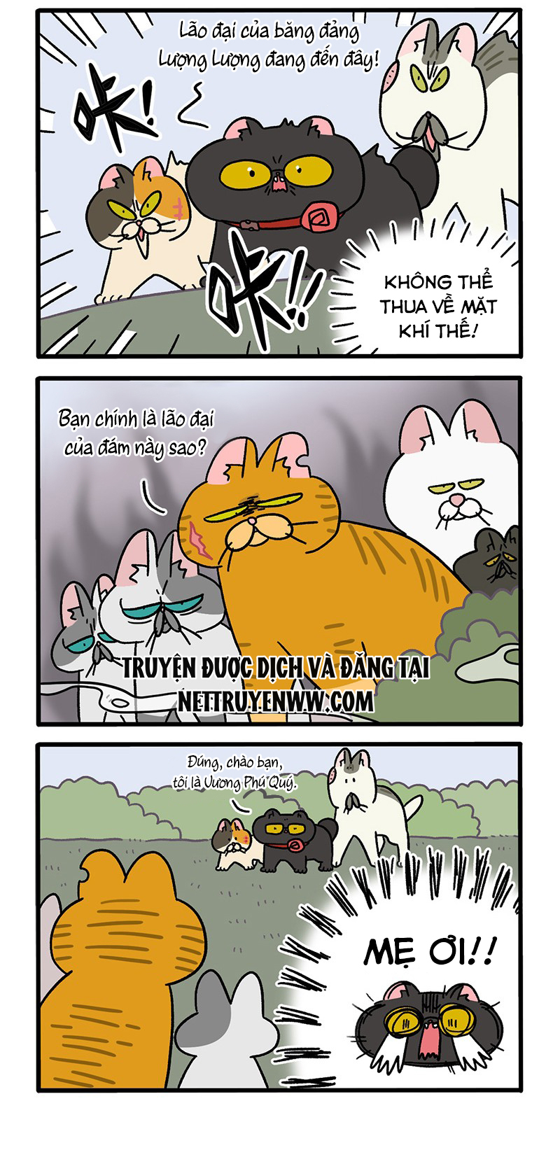A Mãn Và Mạch Trà: Chapter 43