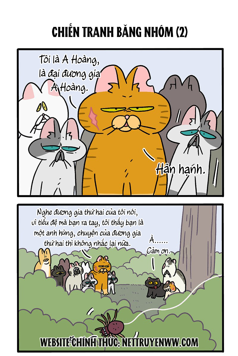A Mãn Và Mạch Trà: Chapter 43