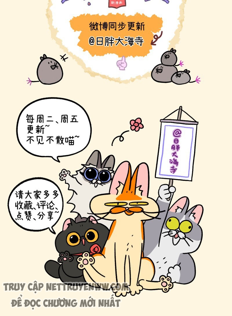 A Mãn Và Mạch Trà: Chapter 44.1