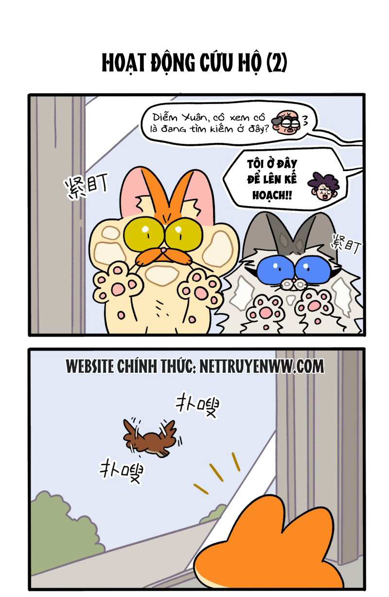 A Mãn Và Mạch Trà: Chapter 44
