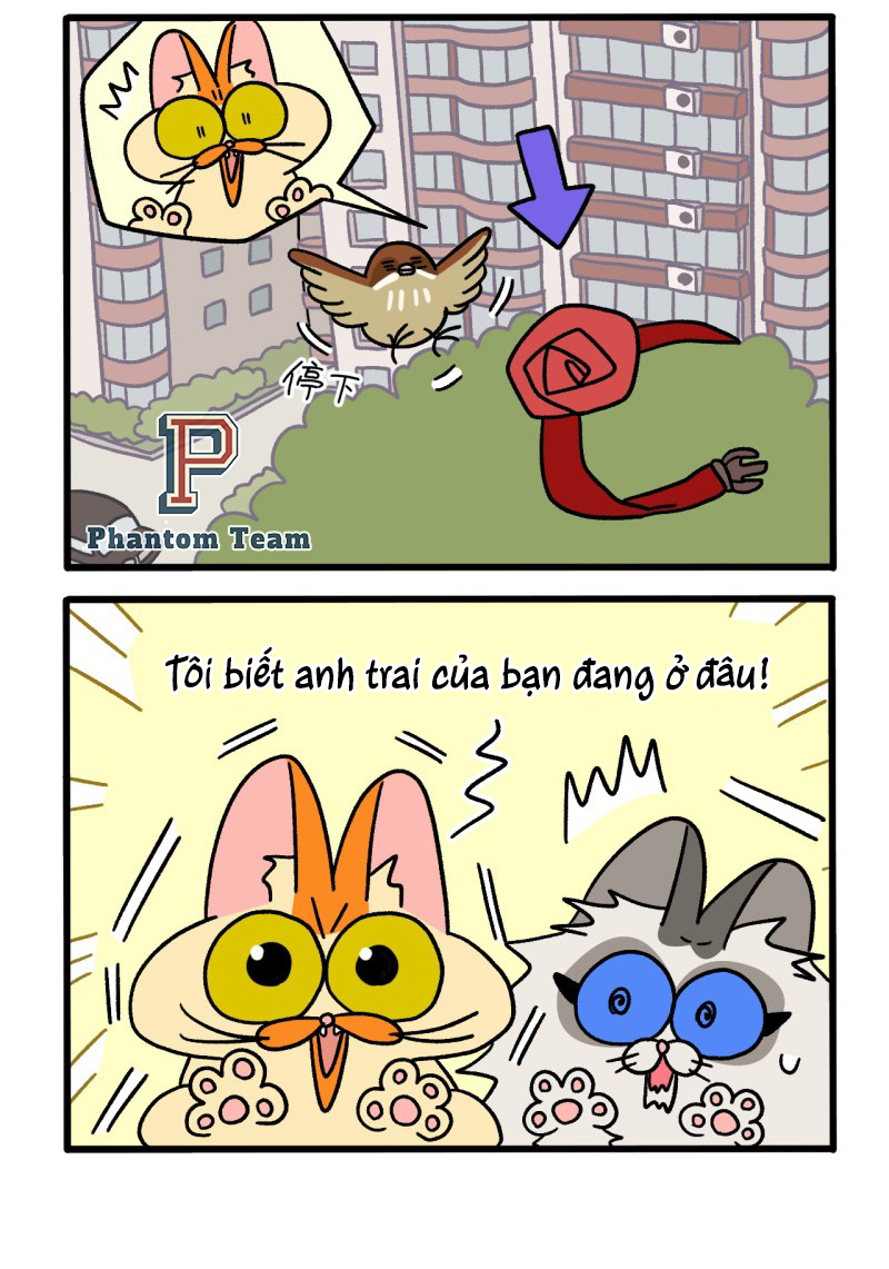 A Mãn Và Mạch Trà: Chapter 44