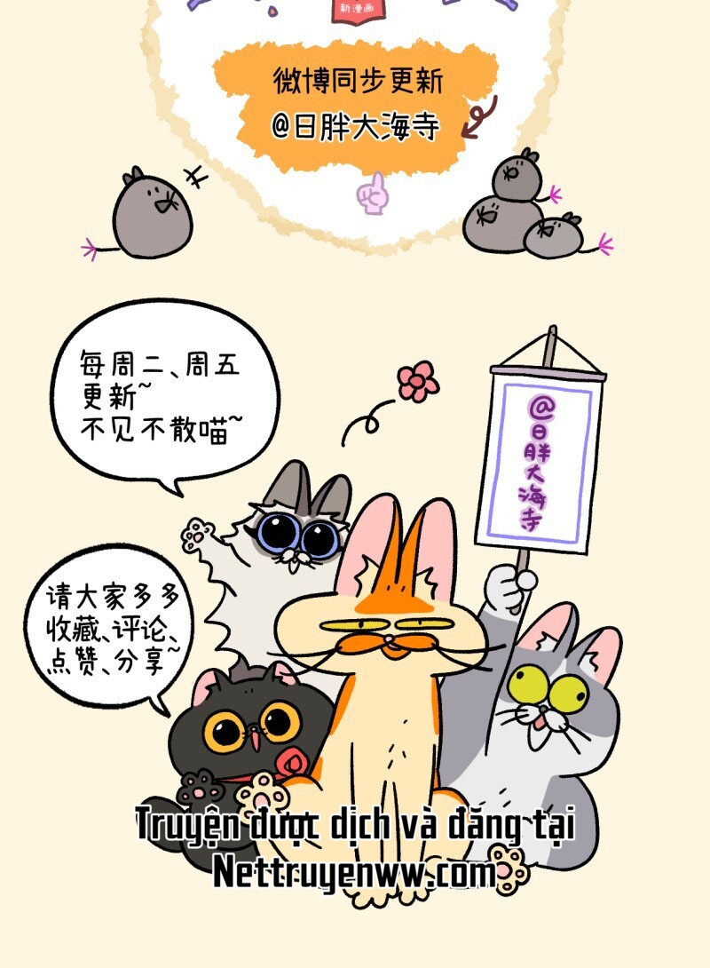 A Mãn Và Mạch Trà: Chapter 45.1