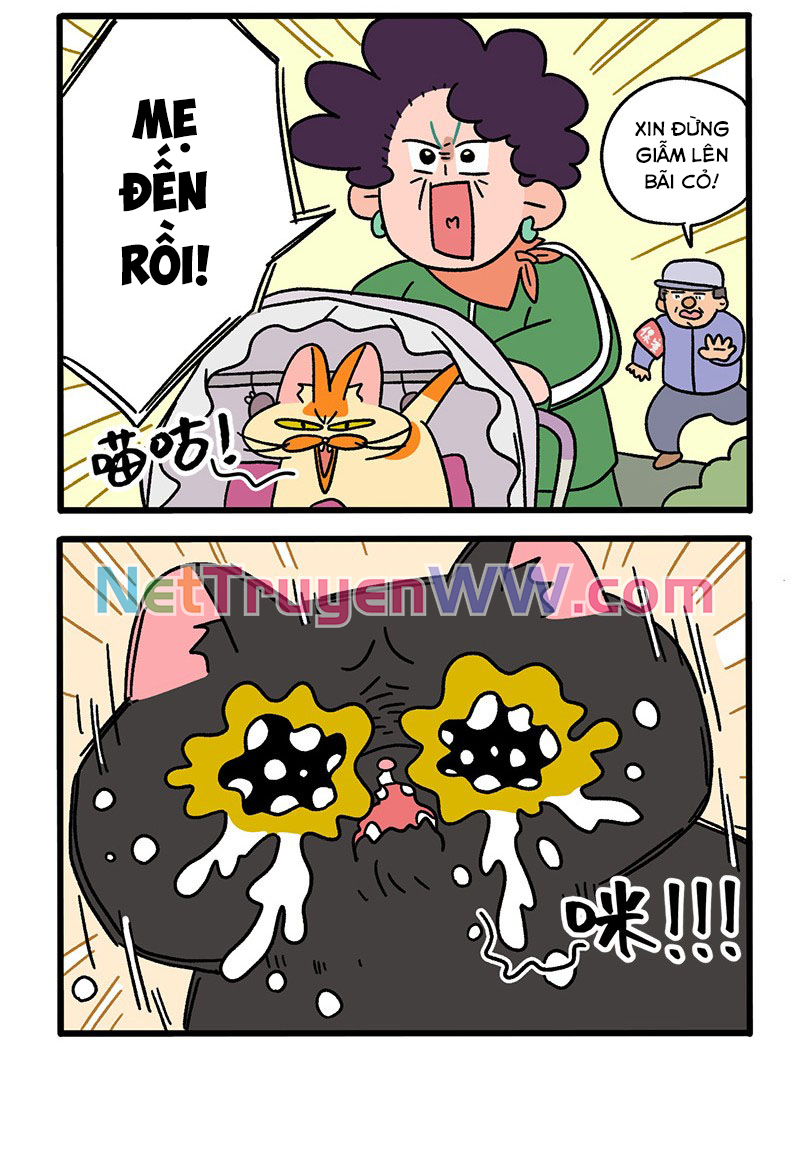 A Mãn Và Mạch Trà: Chapter 45