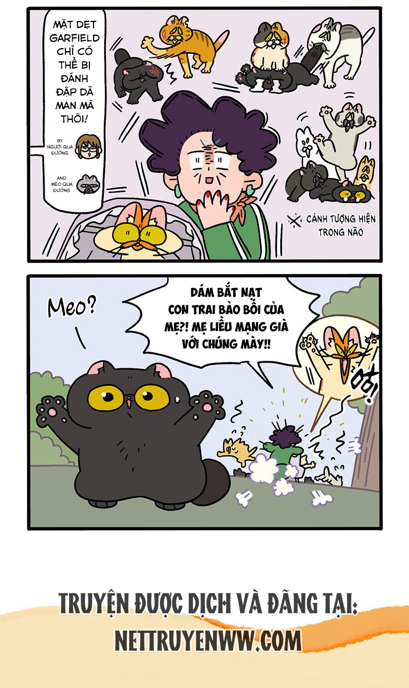 A Mãn Và Mạch Trà: Chapter 45