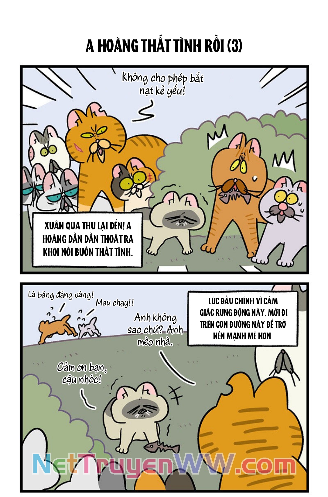 A Mãn Và Mạch Trà: Chapter 46.1