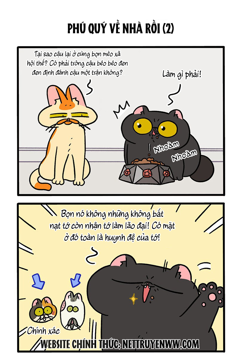 A Mãn Và Mạch Trà: Chapter 46