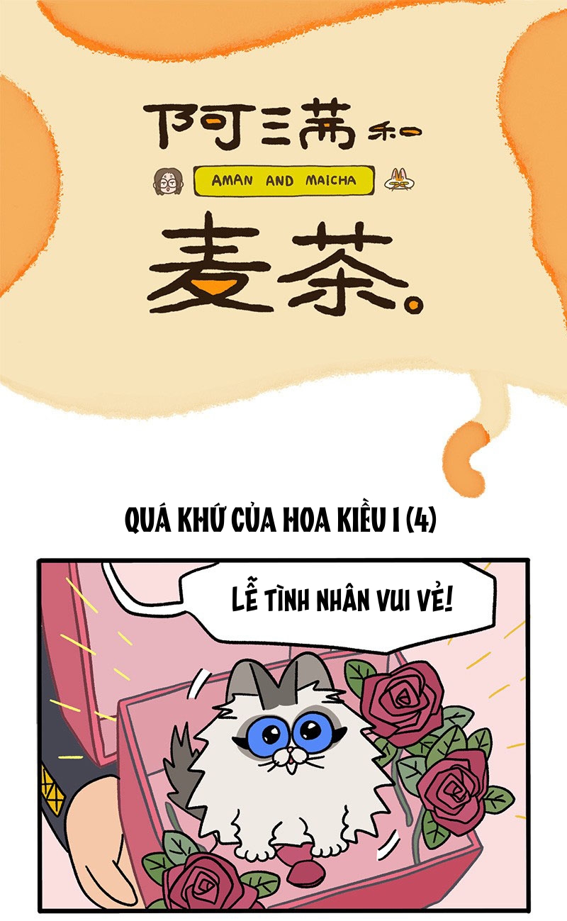 A Mãn Và Mạch Trà: Chapter 47.1