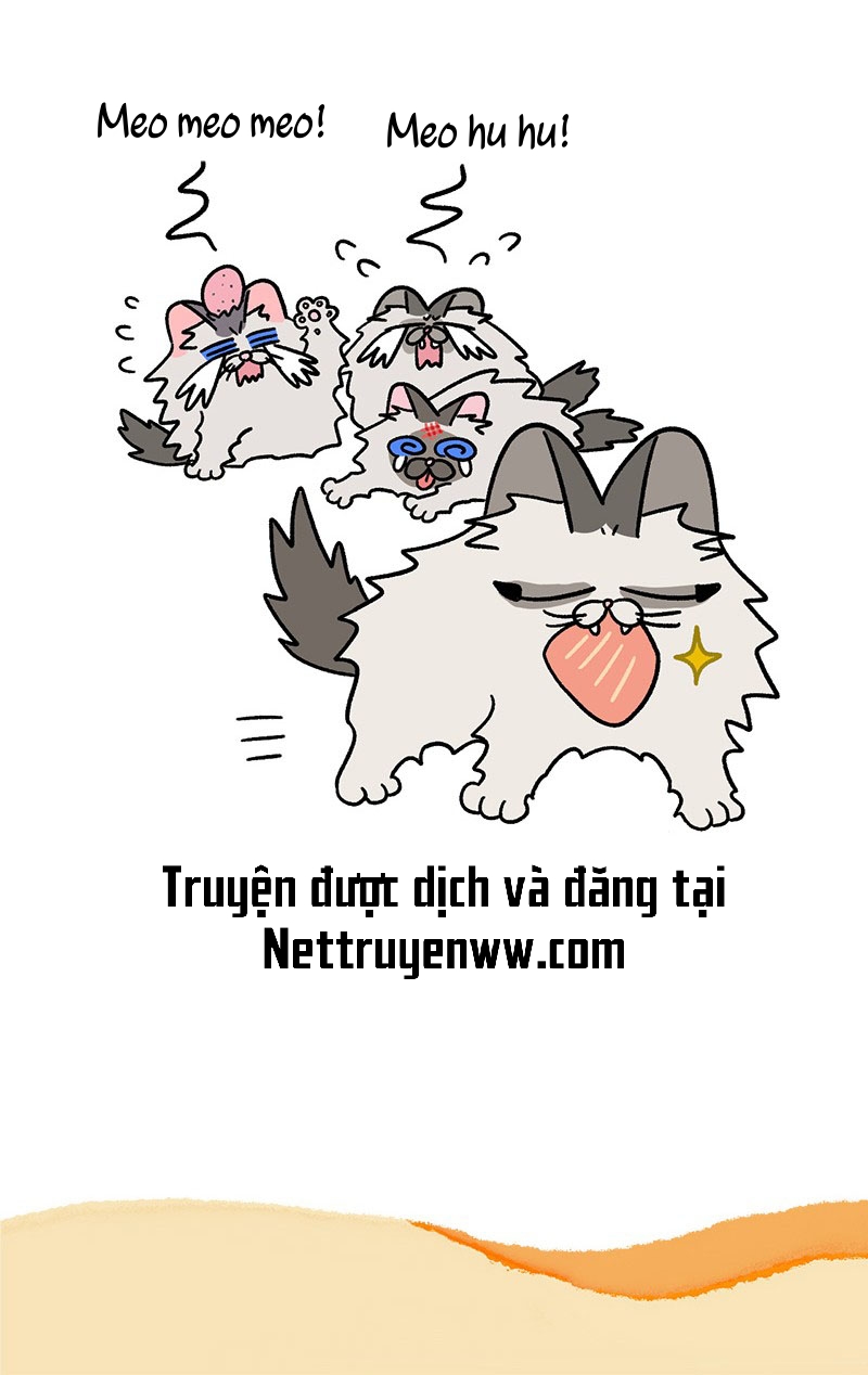 A Mãn Và Mạch Trà: Chapter 47.1