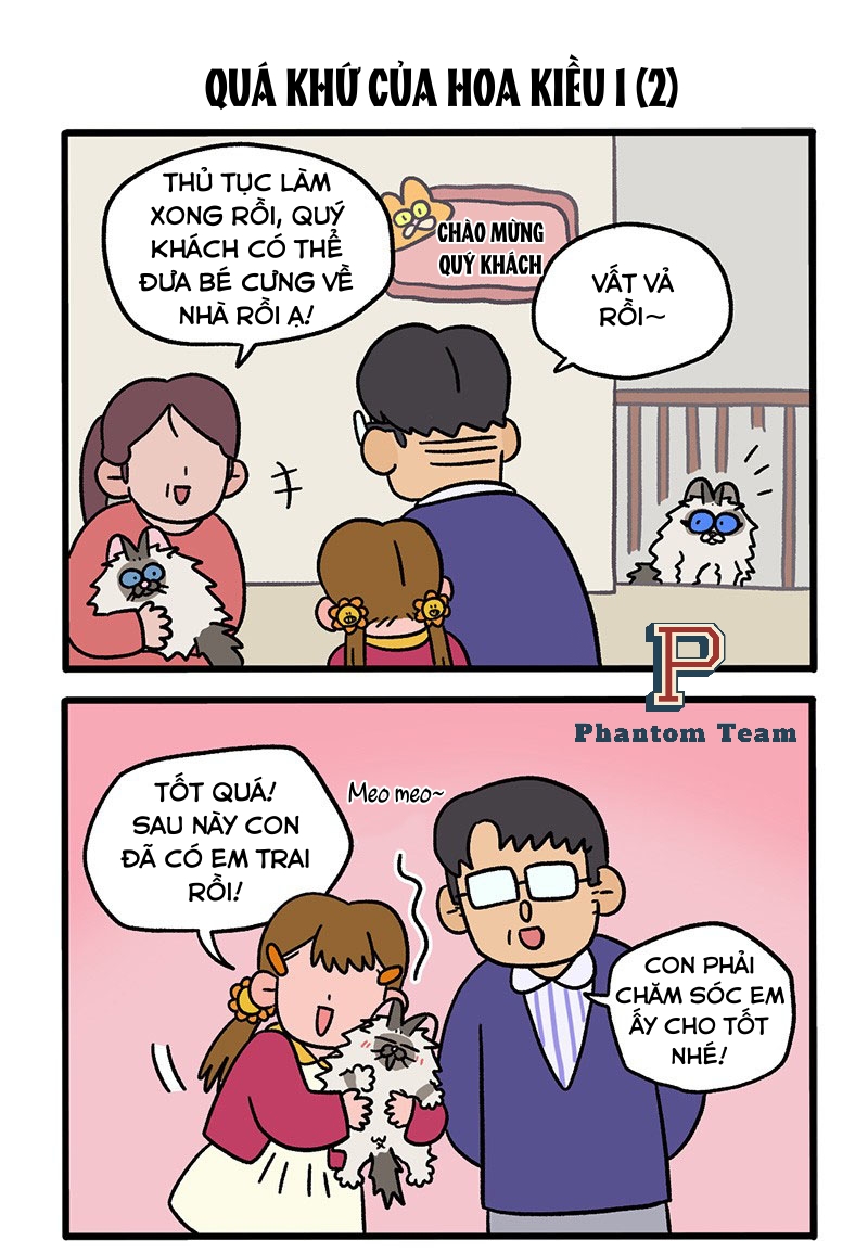 A Mãn Và Mạch Trà: Chapter 47