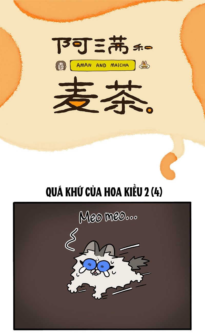 A Mãn Và Mạch Trà: Chapter 48.1