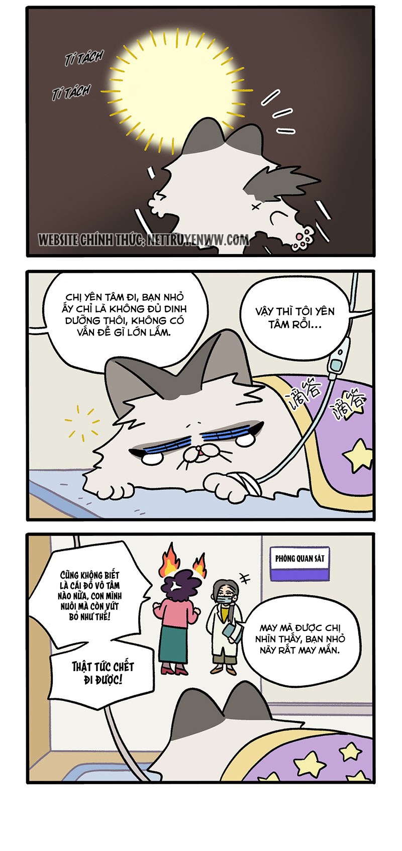 A Mãn Và Mạch Trà: Chapter 48.1