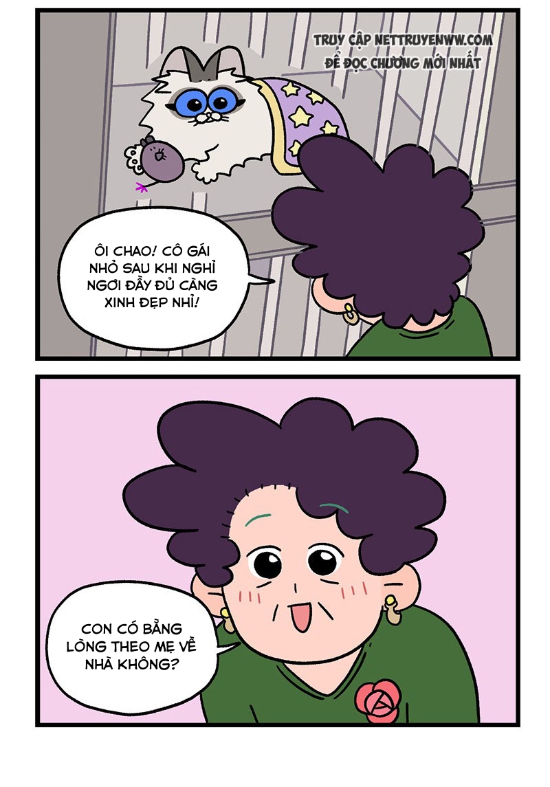 A Mãn Và Mạch Trà: Chapter 48.1