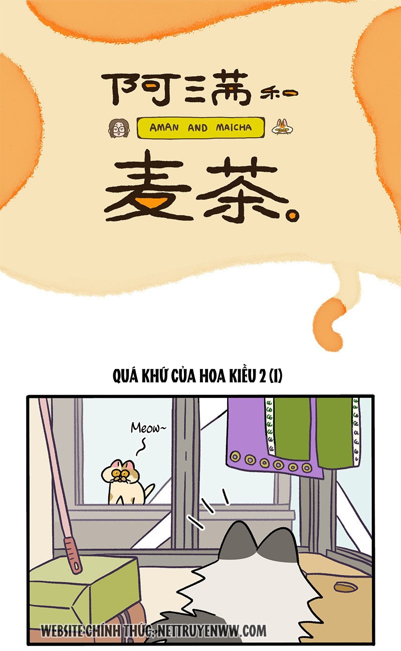 A Mãn Và Mạch Trà: Chapter 48
