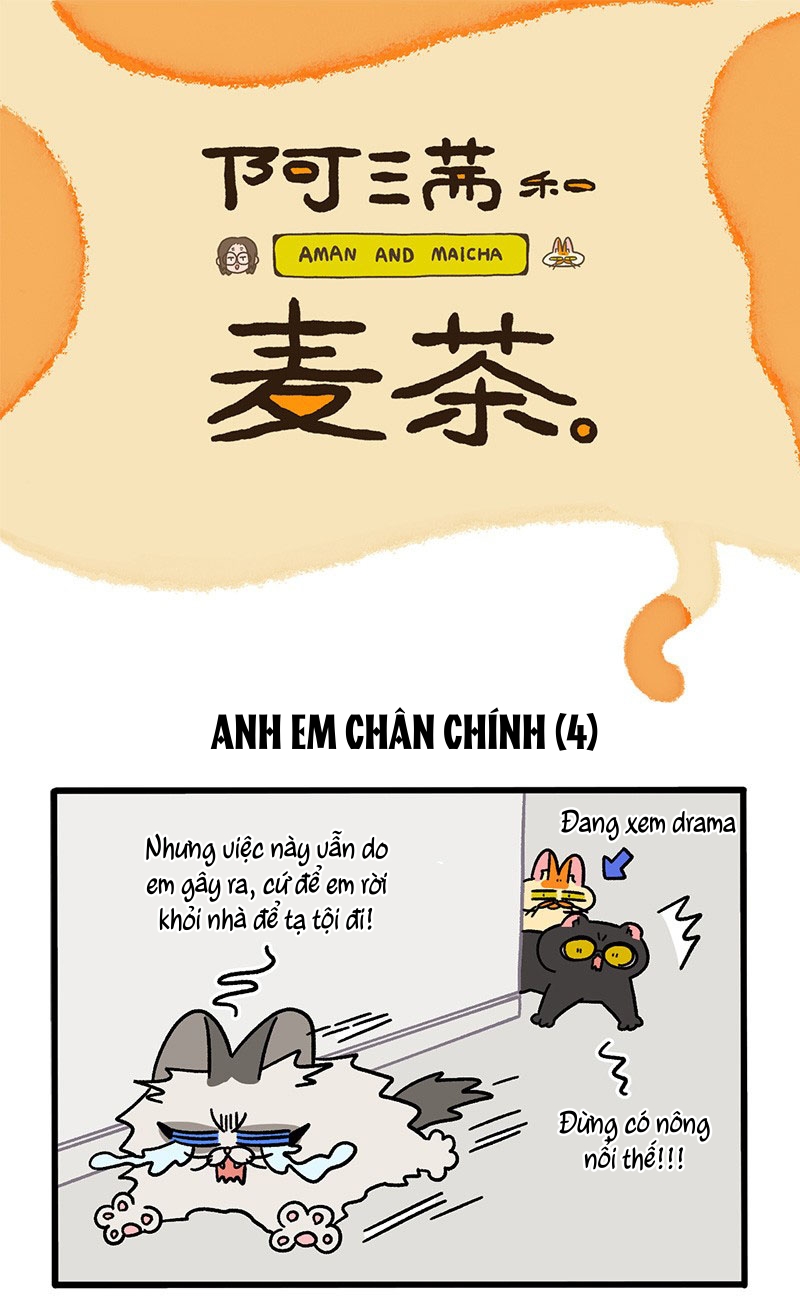 A Mãn Và Mạch Trà: Chapter 49.1