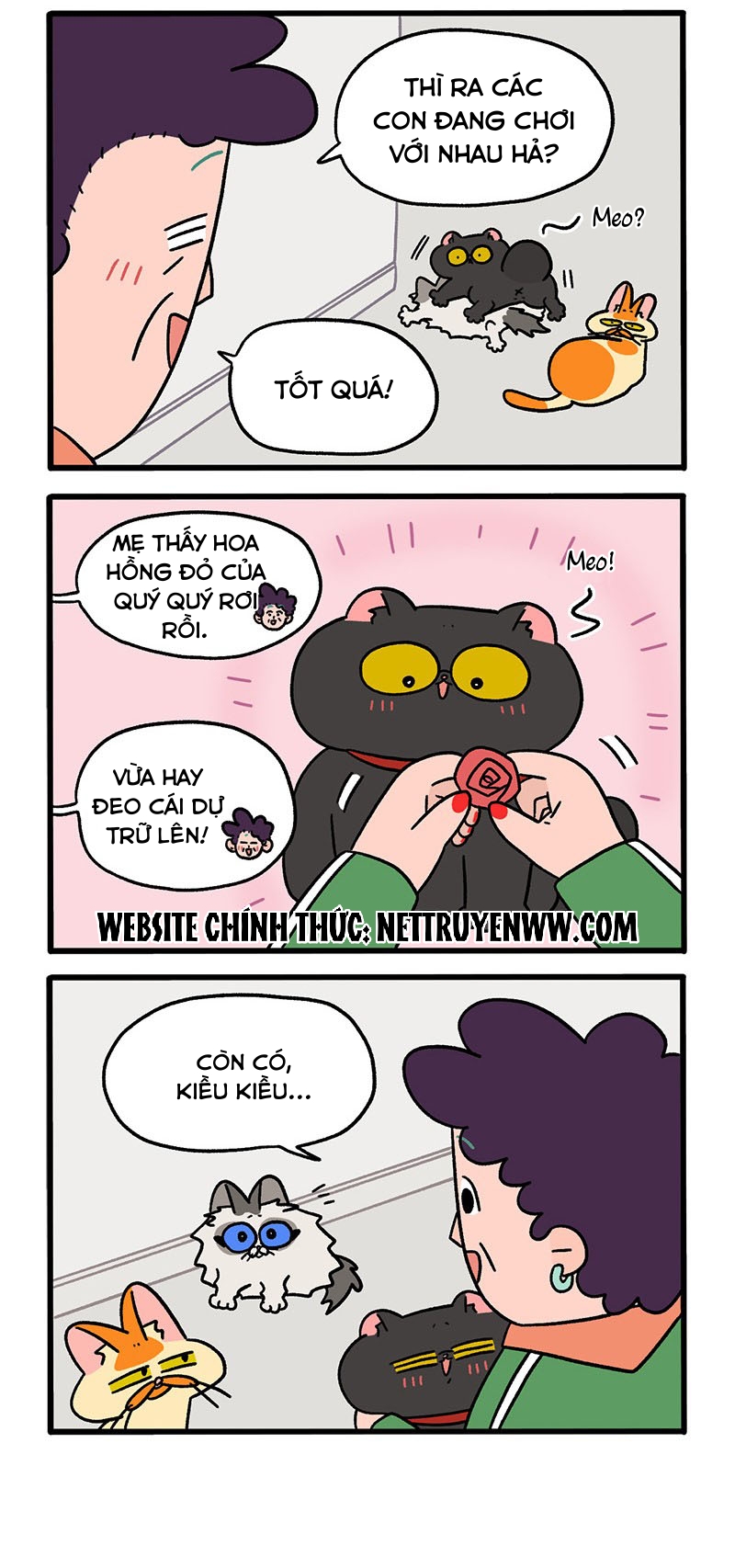 A Mãn Và Mạch Trà: Chapter 49.1