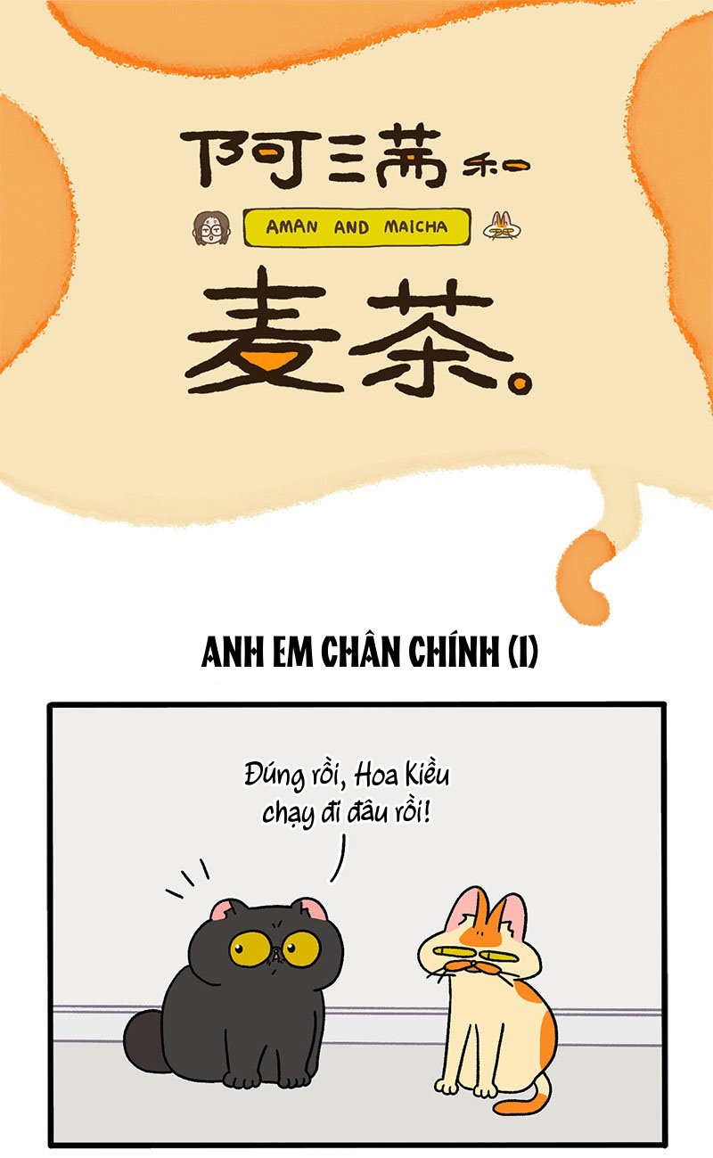 A Mãn Và Mạch Trà: Chapter 49