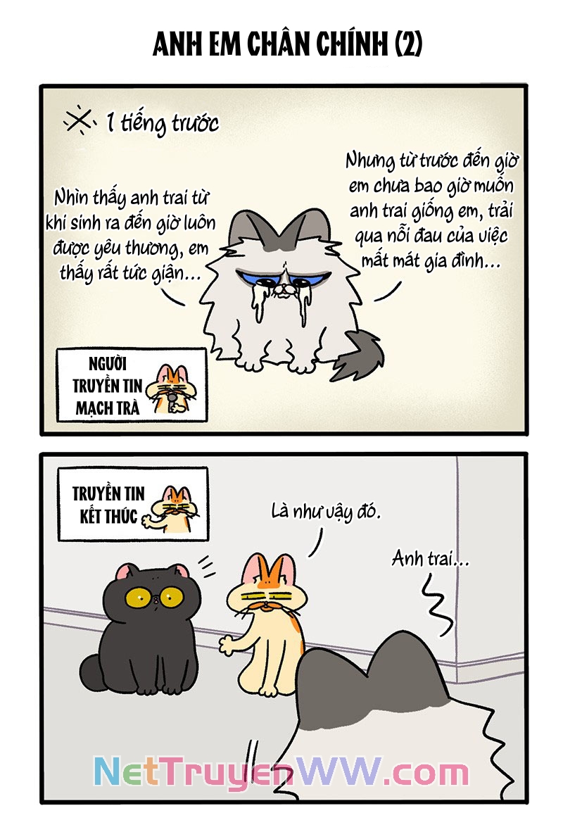 A Mãn Và Mạch Trà: Chapter 49