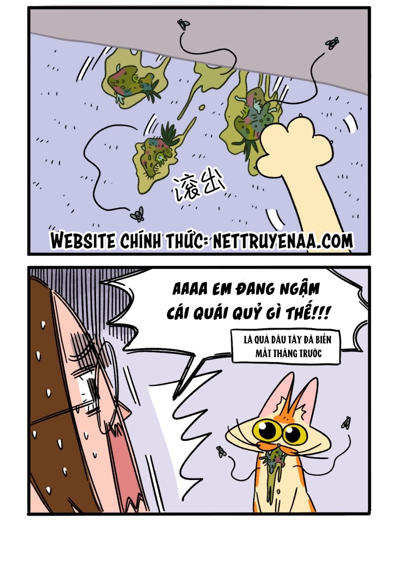 A Mãn Và Mạch Trà: Chapter 5