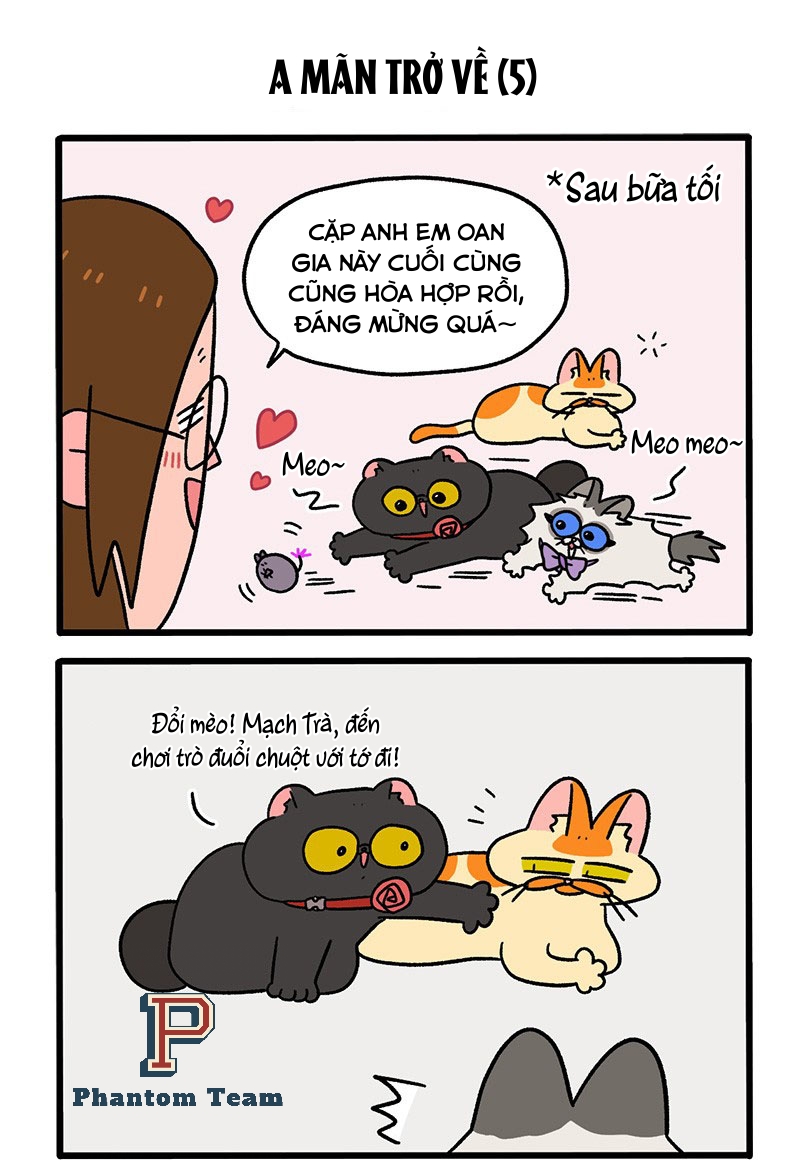 A Mãn Và Mạch Trà: Chapter 50.1
