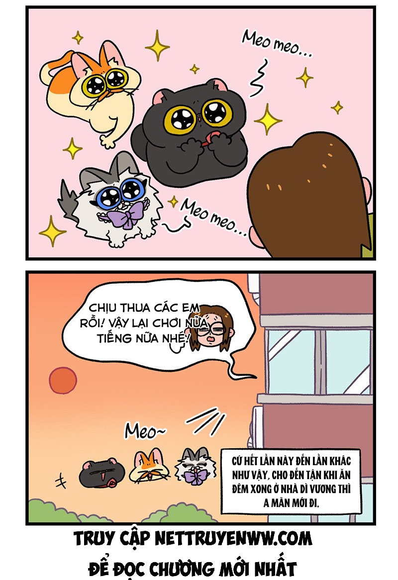 A Mãn Và Mạch Trà: Chapter 50.1