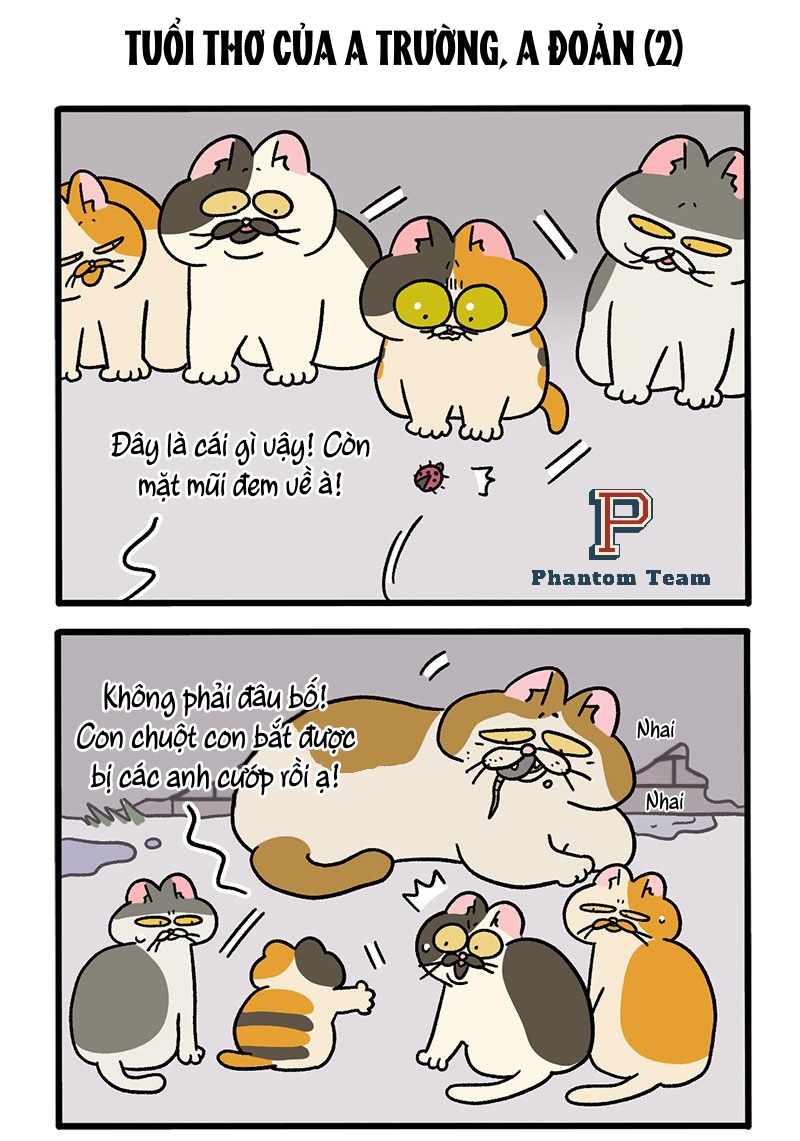 A Mãn Và Mạch Trà: Chapter 50.2