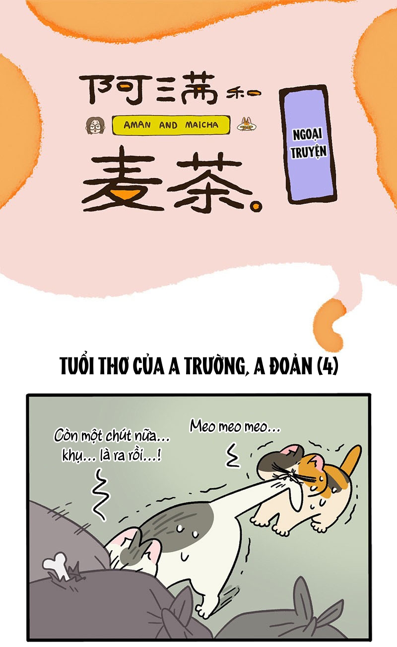 A Mãn Và Mạch Trà: Chapter 50.3