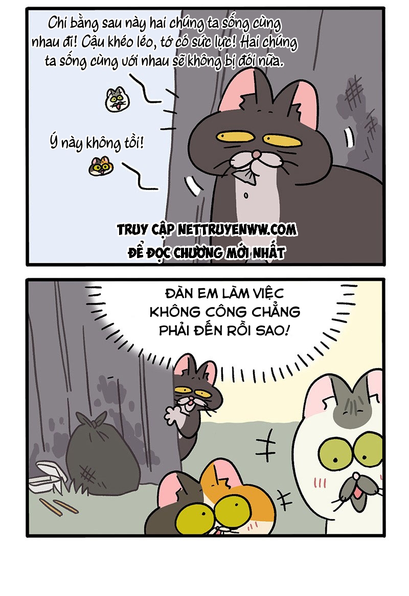 A Mãn Và Mạch Trà: Chapter 50.3