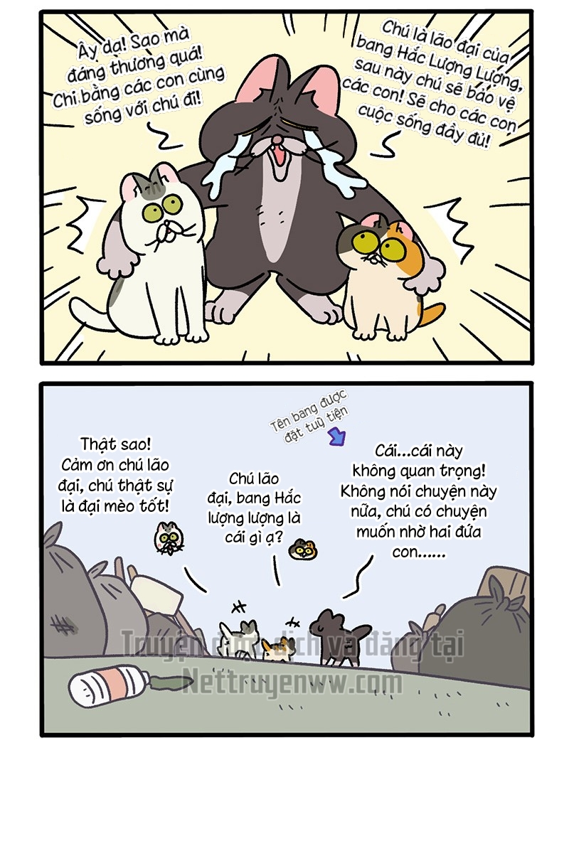 A Mãn Và Mạch Trà: Chapter 50.4