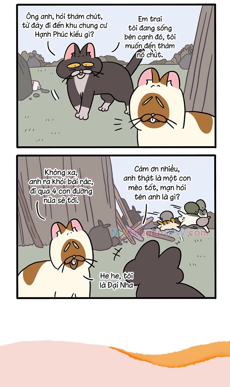 A Mãn Và Mạch Trà: Chapter 50.4